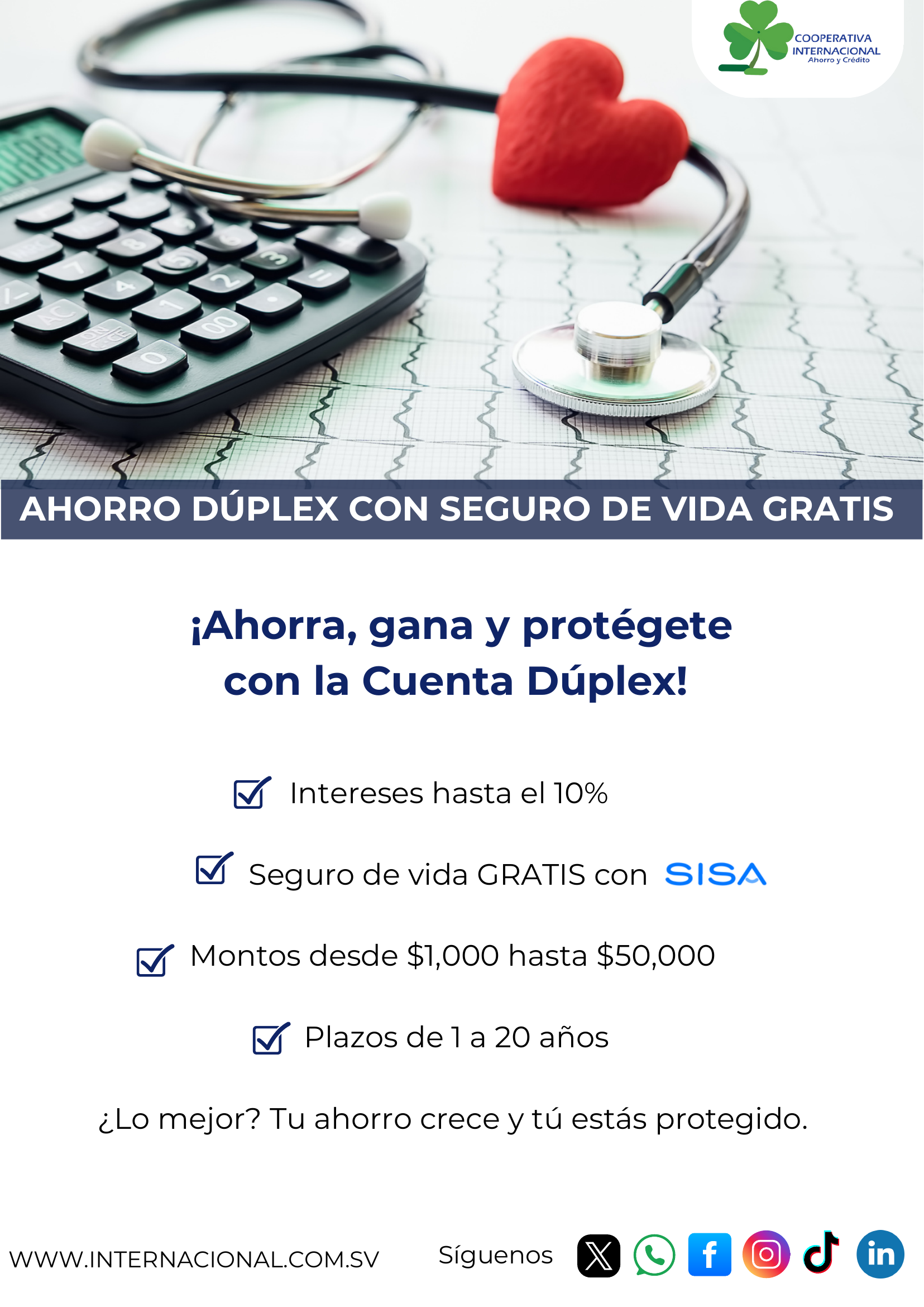 Vista previa 5